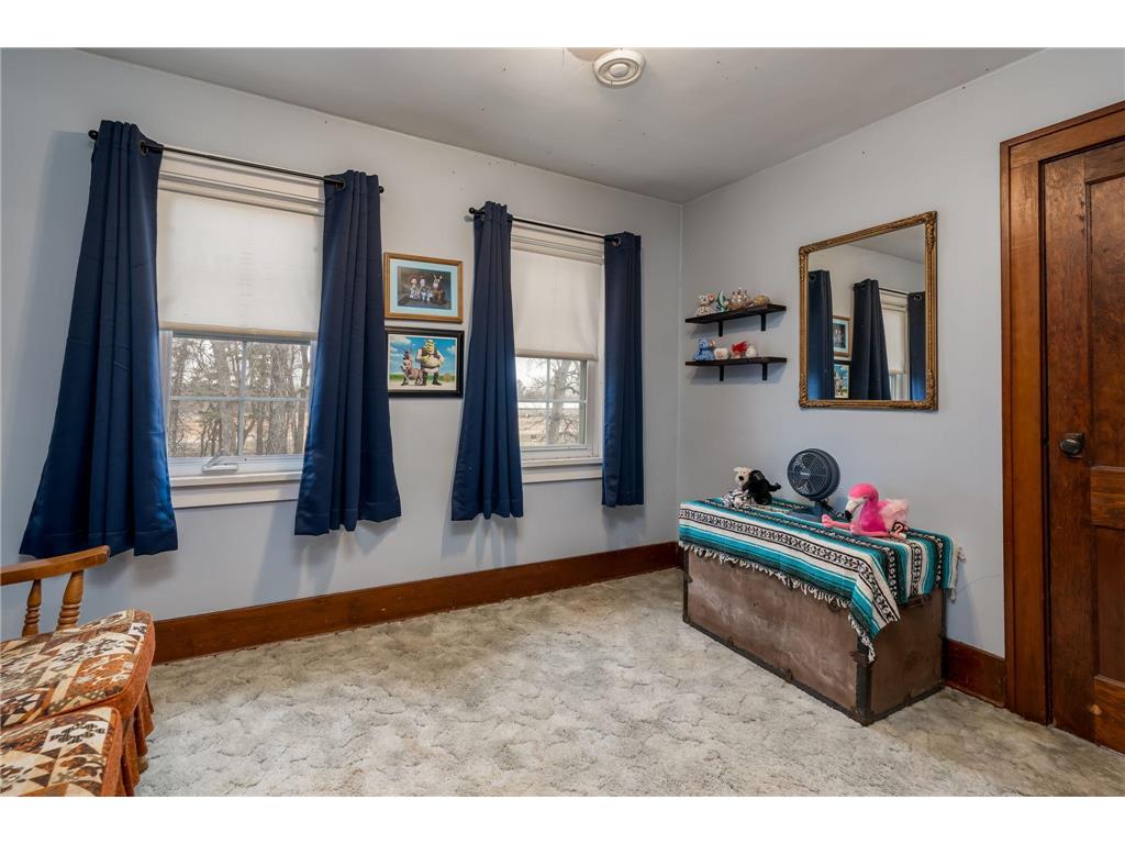 73681 290th Street Riverdale Twp MN 56081 7044068 image20