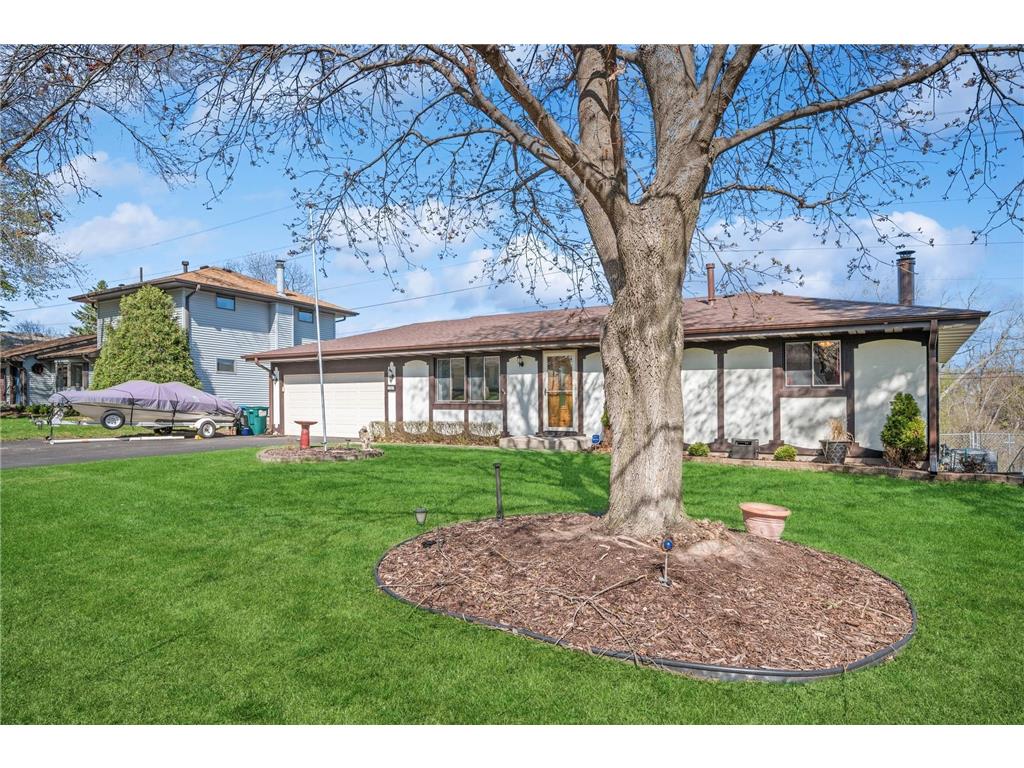 737 Terrace Drive Roseville MN 55113 6366186 image1