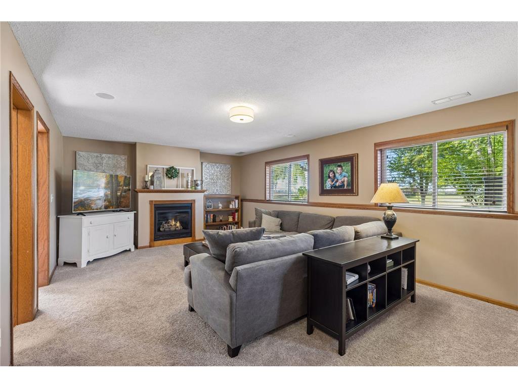 737 Williams Drive Hastings MN 55033 7113999 image21