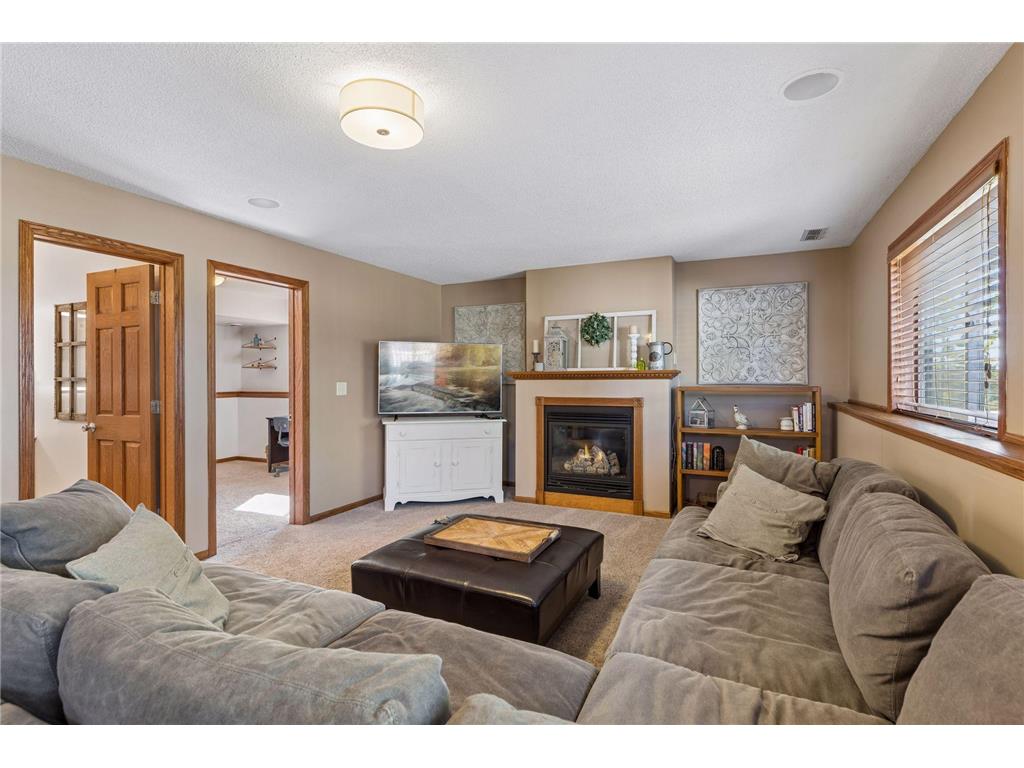 737 Williams Drive Hastings MN 55033 7113999 image22