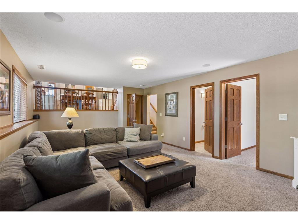 737 Williams Drive Hastings MN 55033 7113999 image23