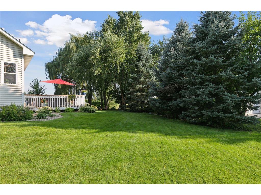 737 Williams Drive Hastings MN 55033 7113999 image34