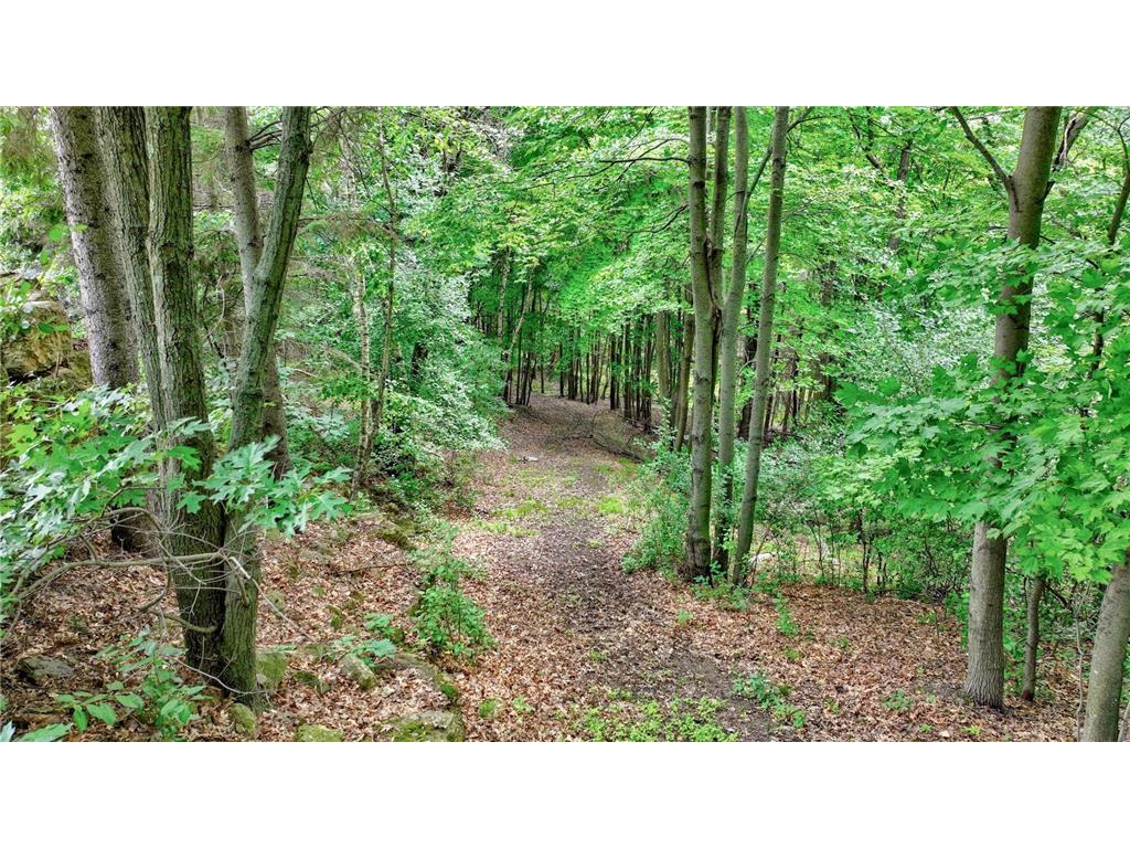 7379 124th Street Tilden Twp WI 54729 7100633 image50