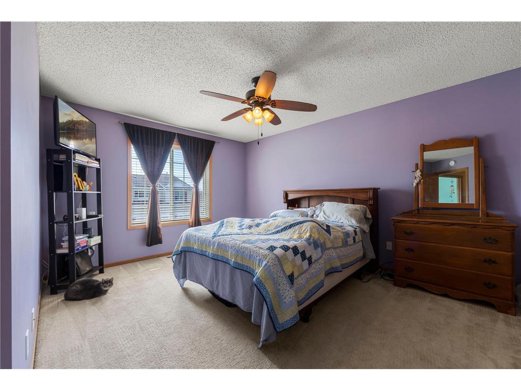 7382 Timber Crest Drive S Cottage Grove MN 55016 6789527 image11