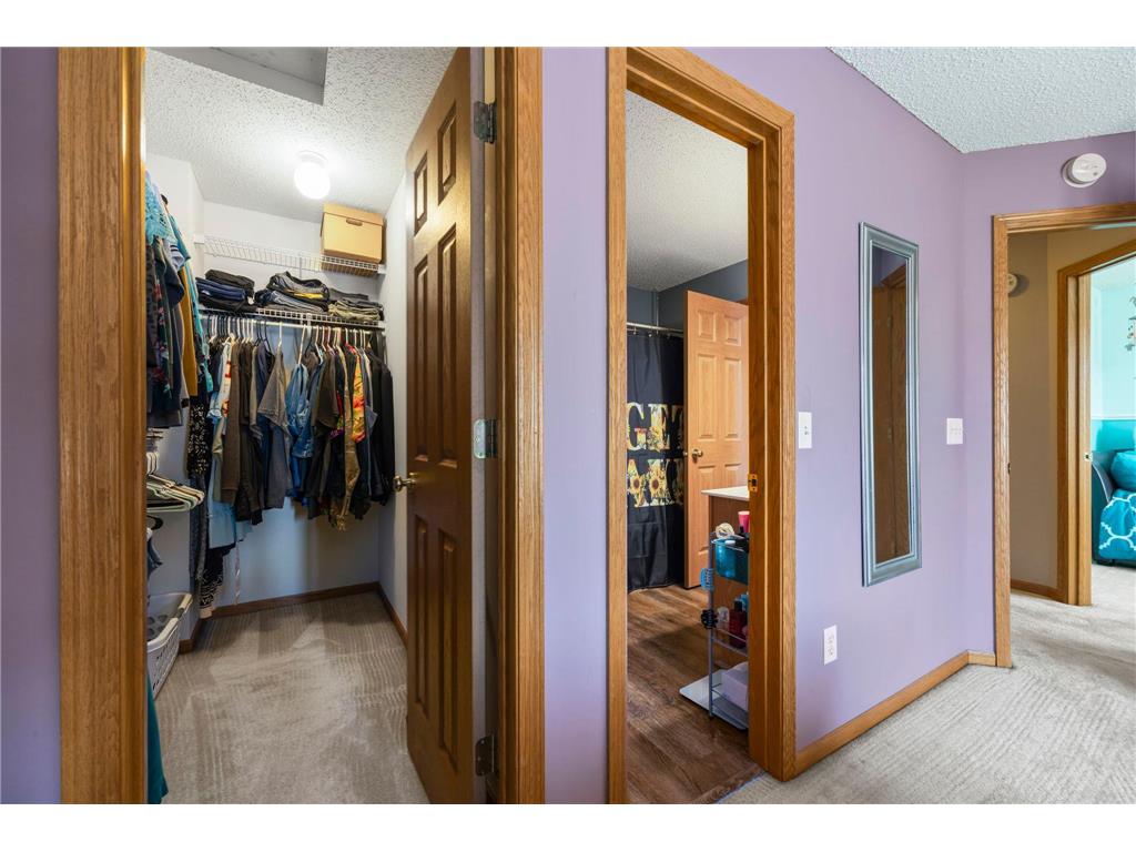 7382 Timber Crest Drive S Cottage Grove MN 55016 6789527 image13