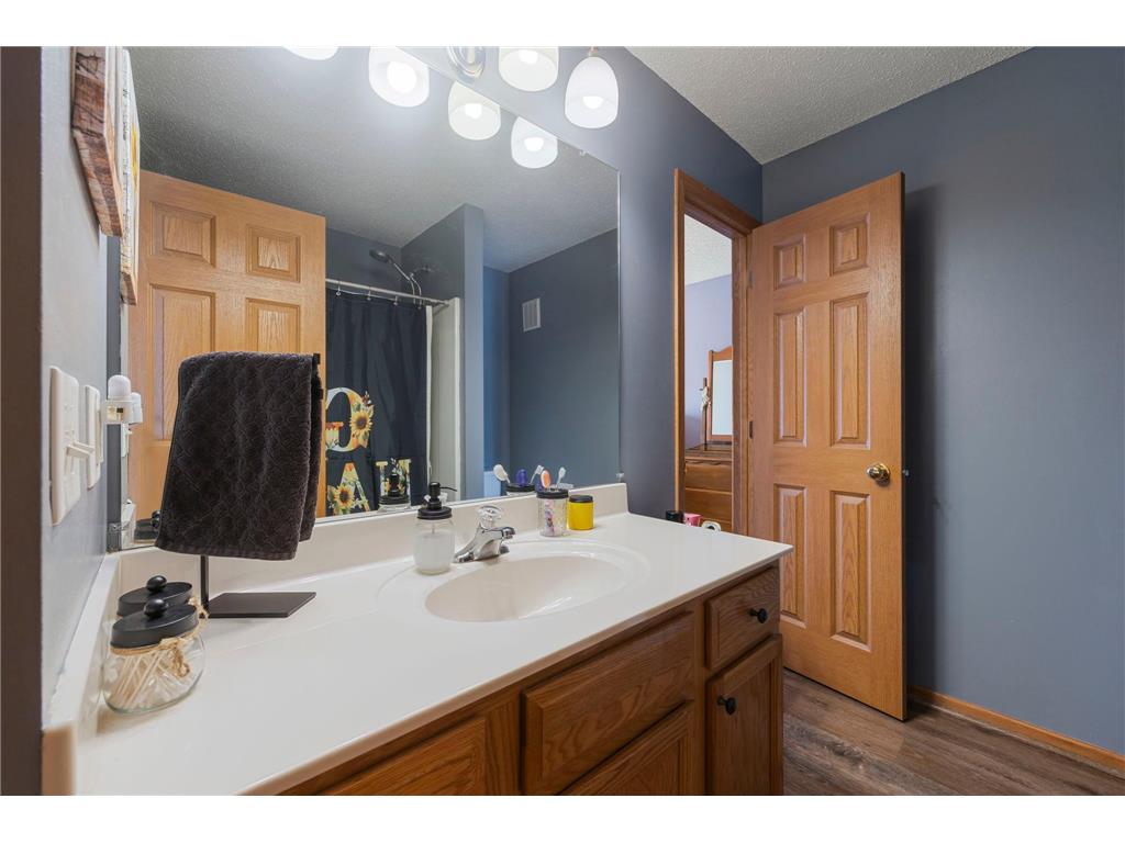 7382 Timber Crest Drive S Cottage Grove MN 55016 6789527 image14