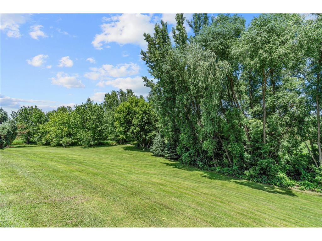 7385 Mark Street Greenfield MN 55357 7013636 image74