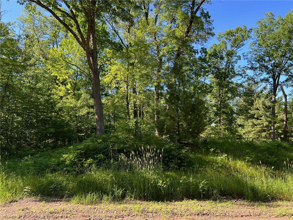 73XX Willow Street E Webster WI 54893 - Yellow River 7012536 image13