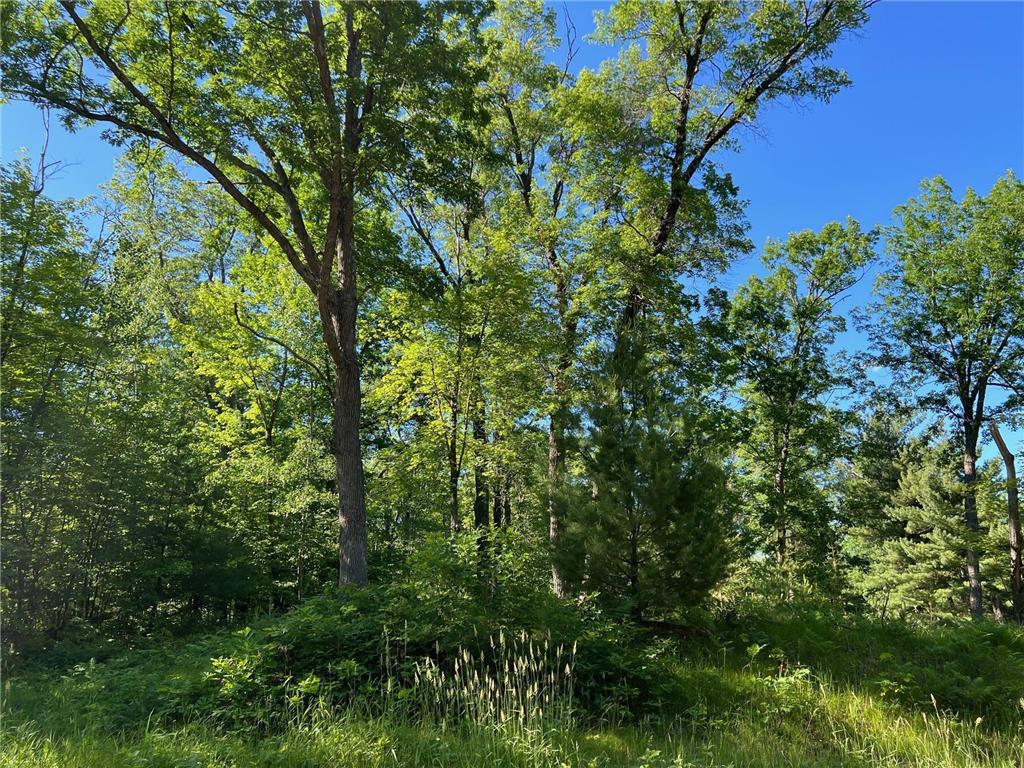 73XX Willow Street E Webster WI 54893 - Yellow River 7012536 image17