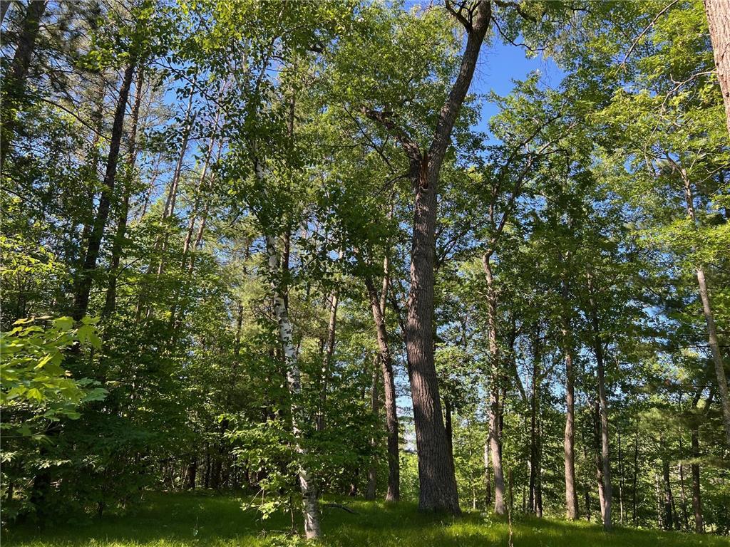 73XX Willow Street E Webster WI 54893 - Yellow River 7012536 image5