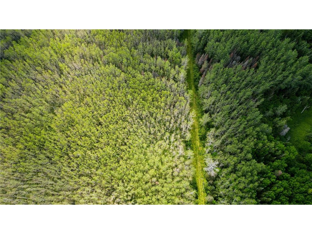 74035 County Highway A Iron River WI 54847 - East Fork Iron River 7005906 image21