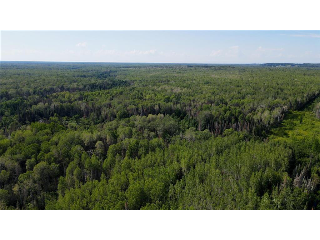 74035 County Highway A Iron River WI 54847 - East Fork Iron River 7005906 image27