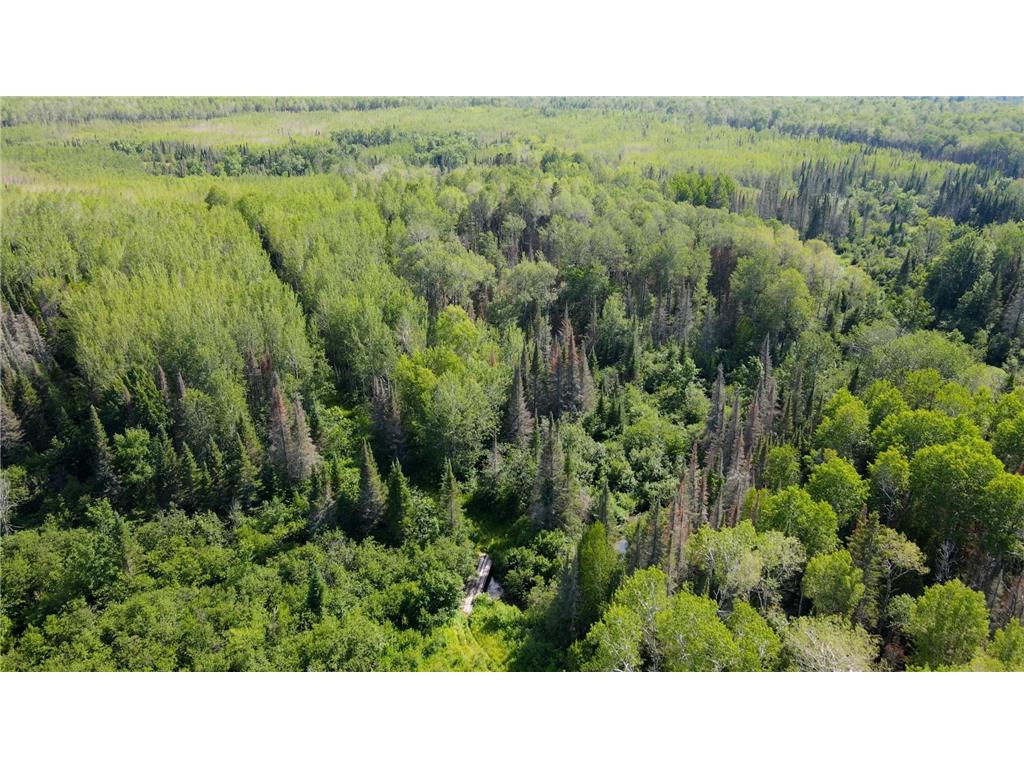 74035 County Highway A Iron River WI 54847 - East Fork Iron River 7005906 image3