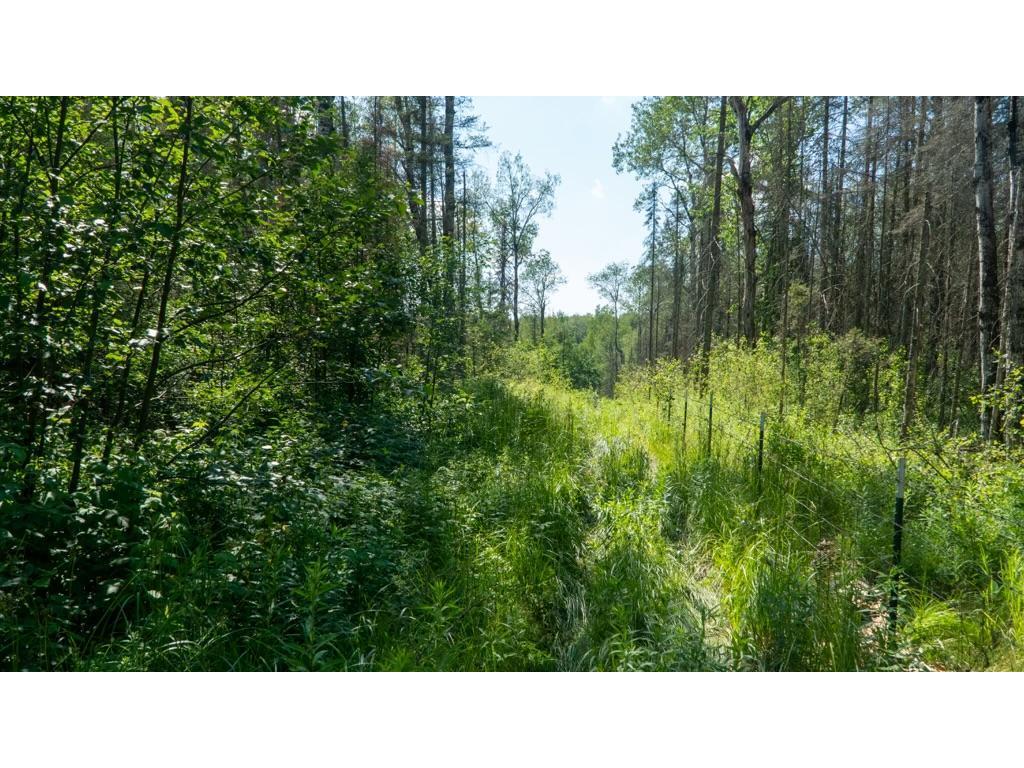 74035 County Highway A Iron River WI 54847 - East Fork Iron River 7005906 image33