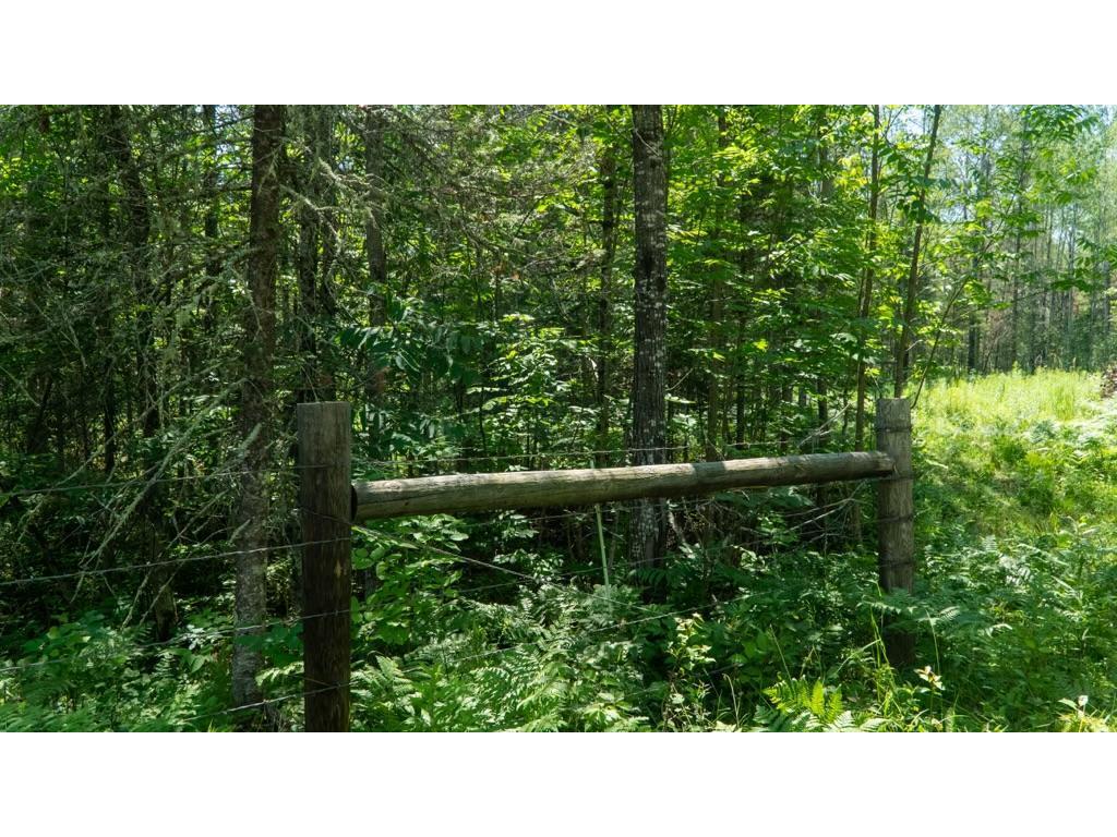 74035 County Highway A Iron River WI 54847 - East Fork Iron River 7005906 image35