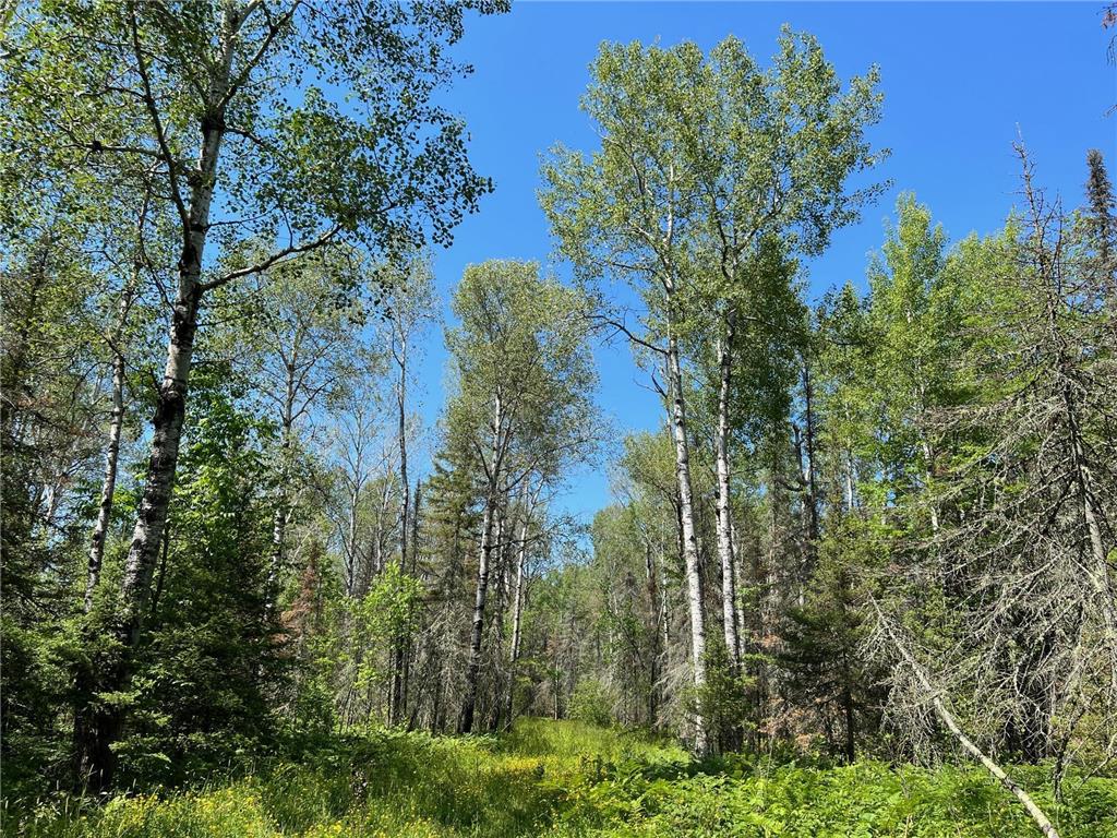 74035 County Highway A Iron River WI 54847 - East Fork Iron River 7005906 image40