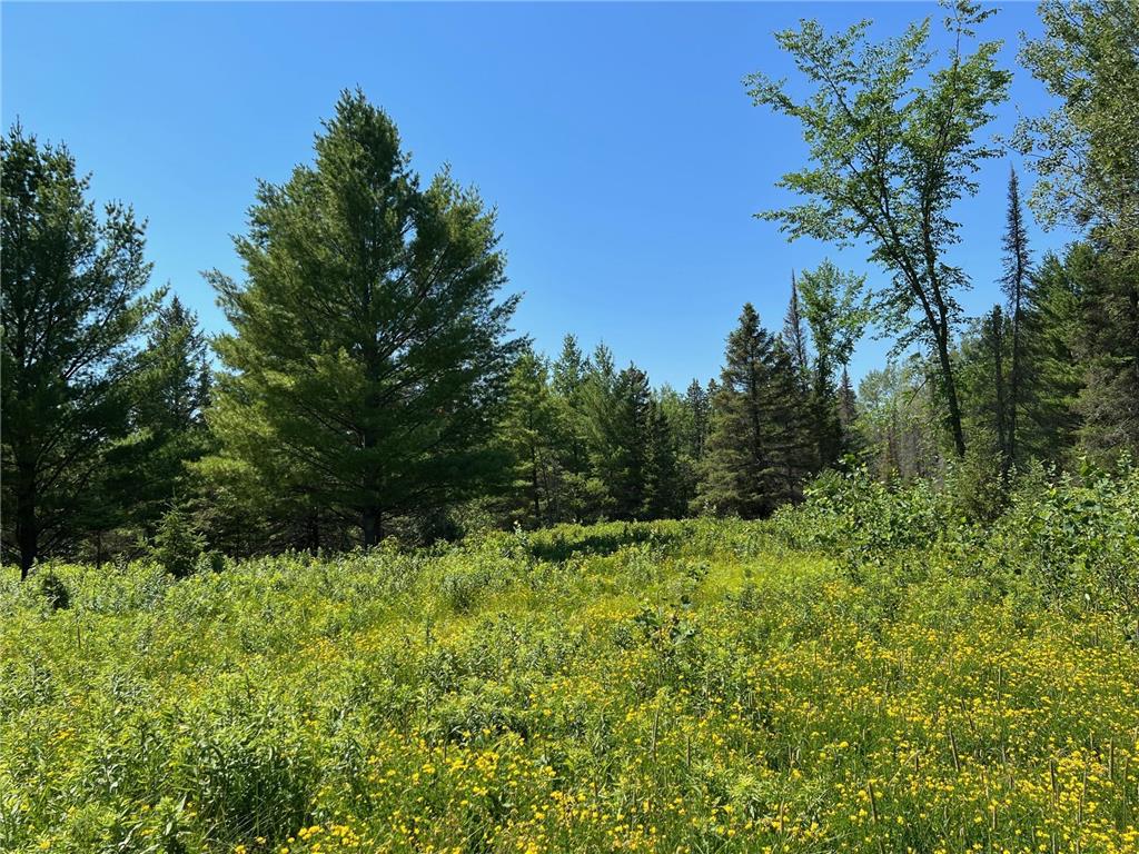 74035 County Highway A Iron River WI 54847 - East Fork Iron River 7005906 image41