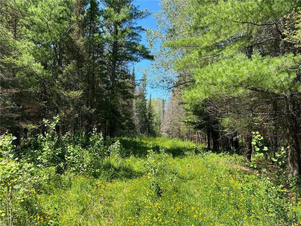 74035 County Highway A Iron River WI 54847 - East Fork Iron River 7005906 image43