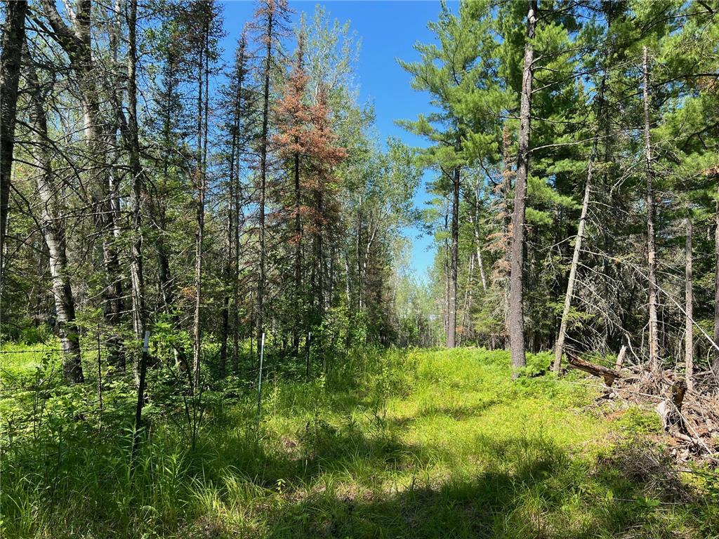 74035 County Highway A Iron River WI 54847 - East Fork Iron River 7005906 image45