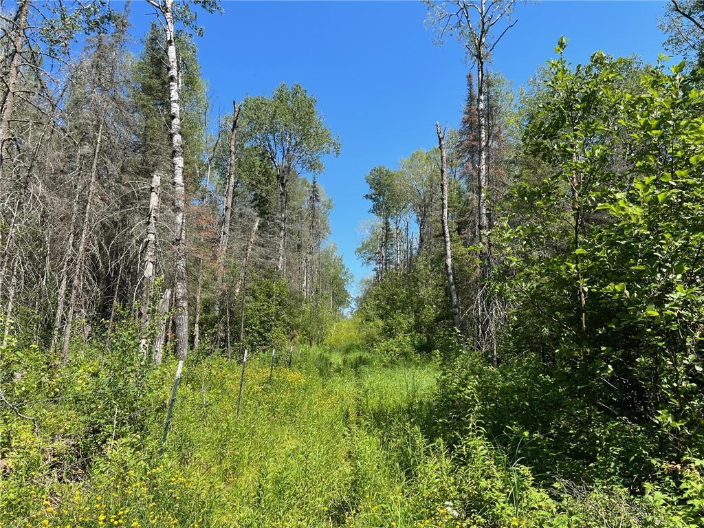 74035 County Highway A Iron River WI 54847 - East Fork Iron River 7005906 image48