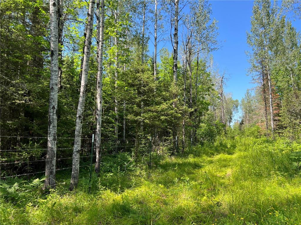 74035 County Highway A Iron River WI 54847 - East Fork Iron River 7005906 image52