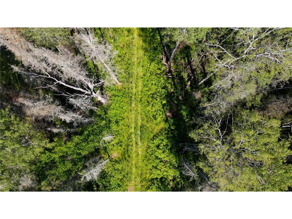 74035 County Highway A Iron River WI 54847 - East Fork Iron River 7005906 image7