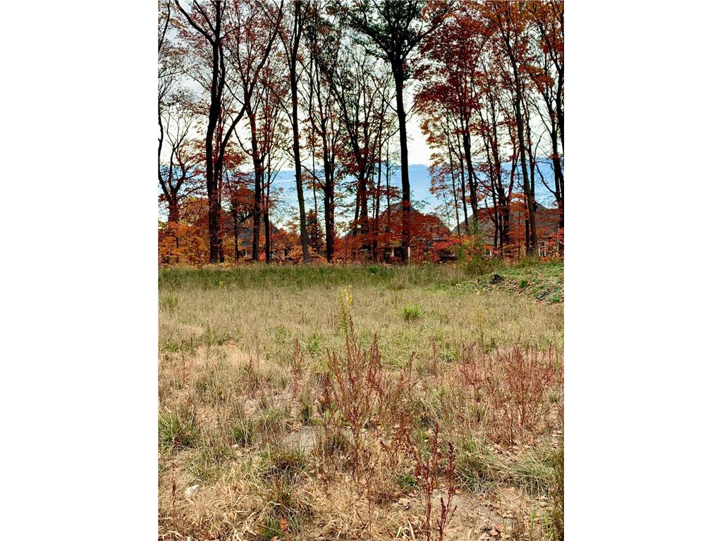 741 Shawnee Woods Road Medina MN 55340 6532925 image1