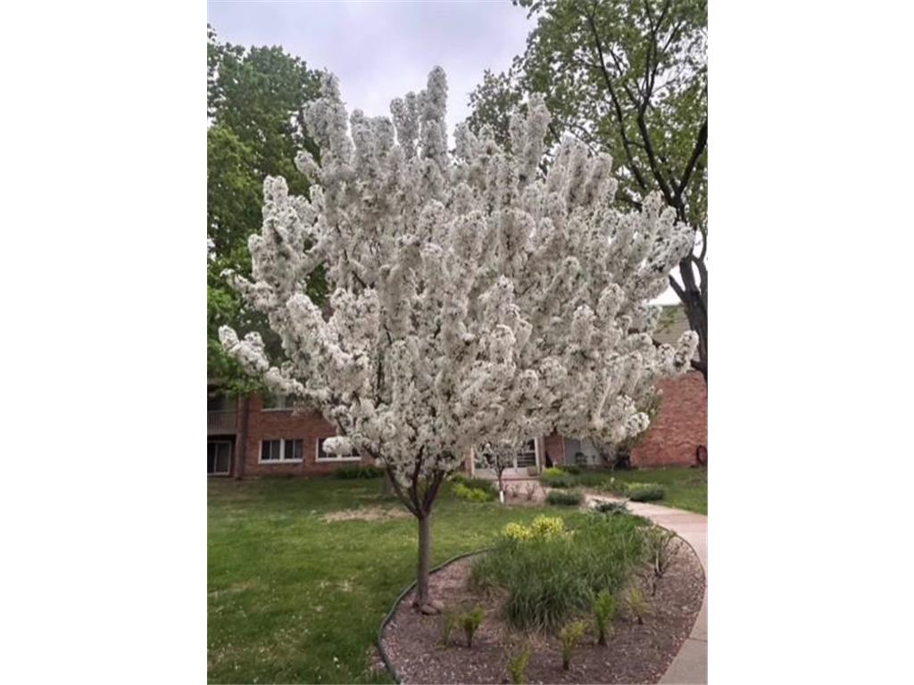 7412 W 22nd Street #104 Saint Louis Park MN 55426 7076933 image39