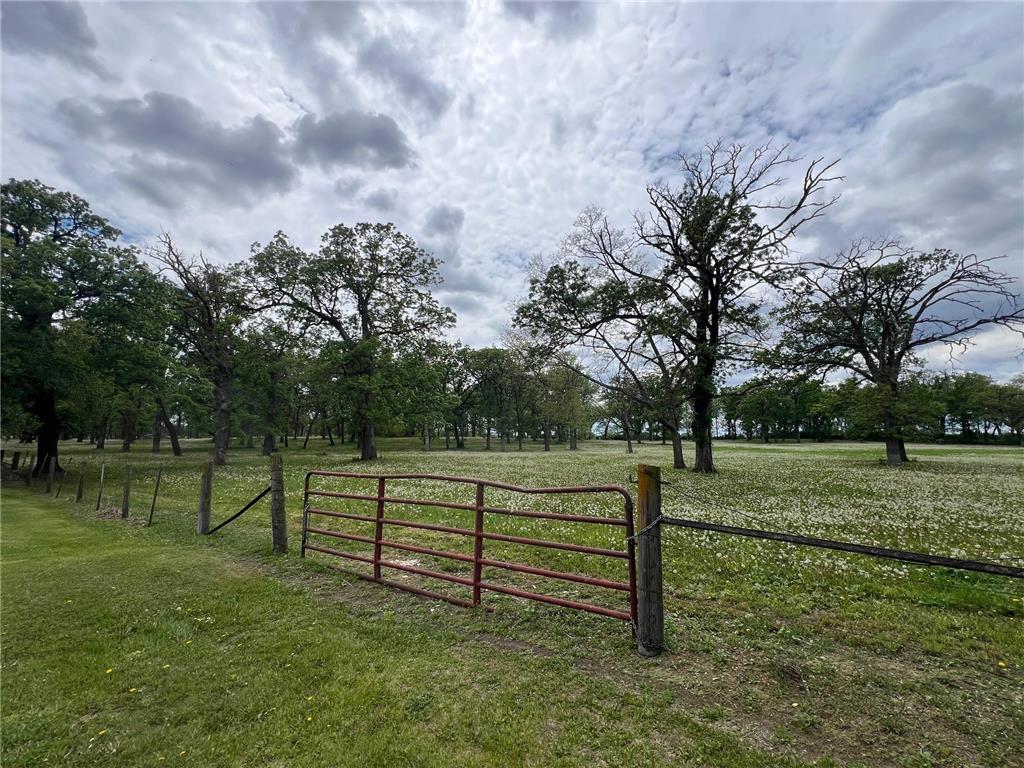 74182 115th Street Le Roy Twp MN 55951 6731789 image7