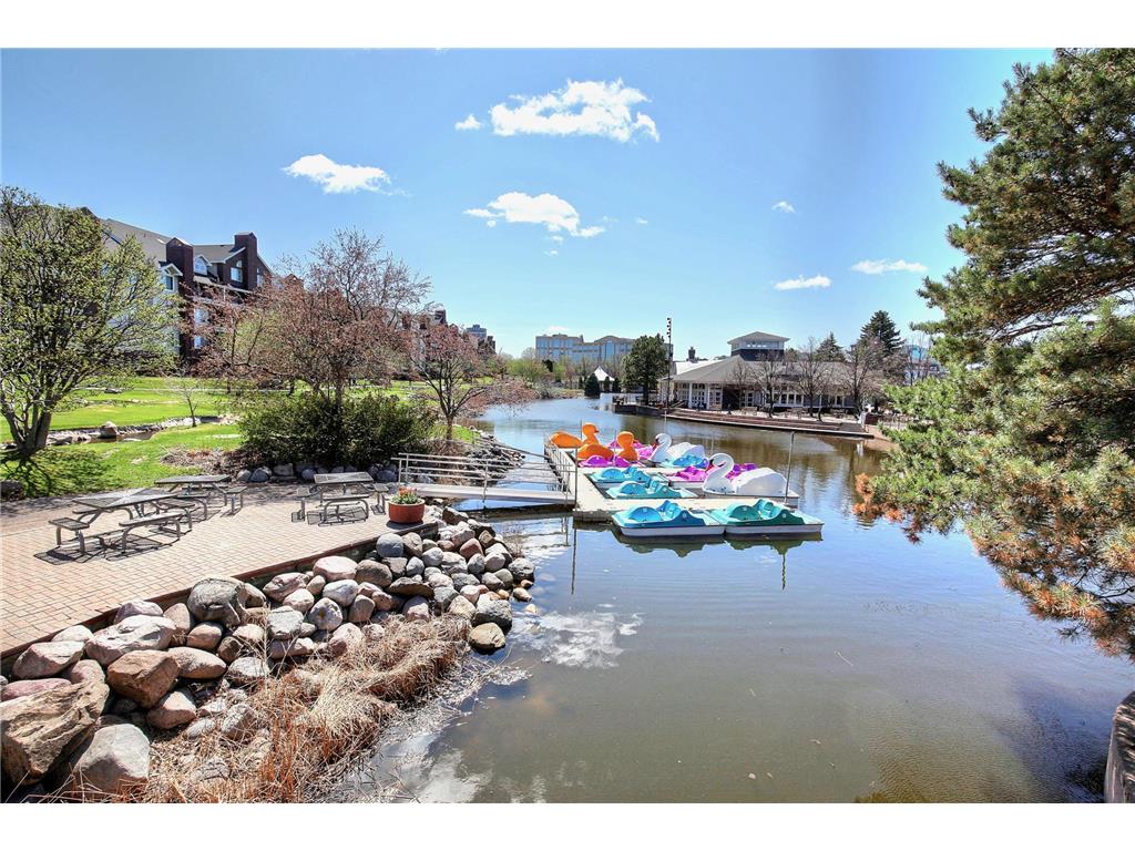 7420 Edinborough Way #6211 Edina MN 55435 7054450 image40