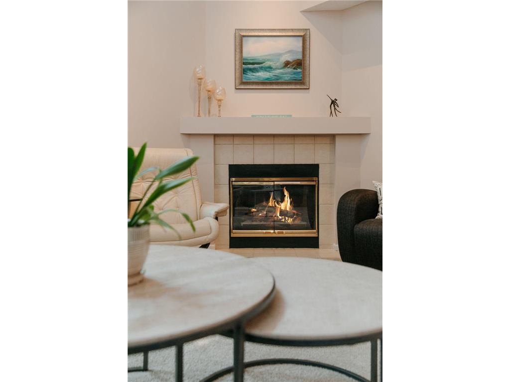 7420 Edinborough Way #6318 Edina MN 55435 - Centennial 6377914 image1