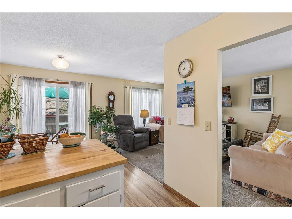7423 Borman Avenue Inver Grove Heights MN 55076 7052051 image20
