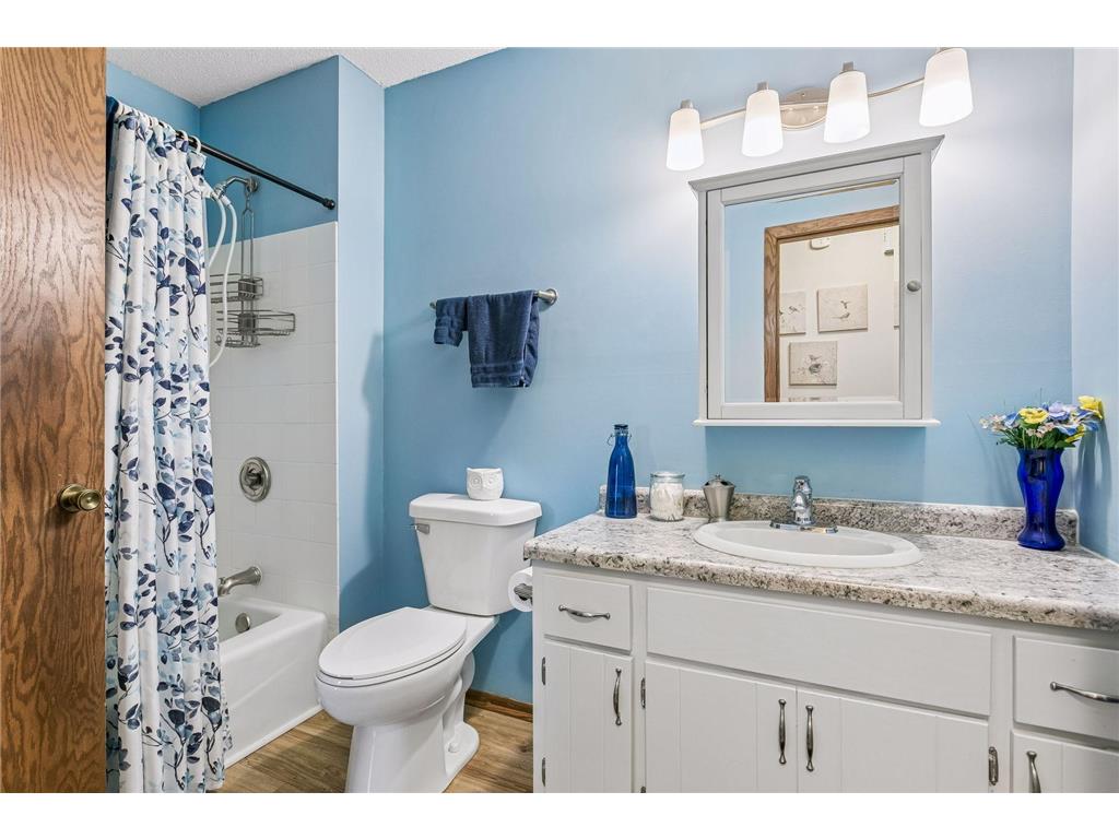 7423 Borman Avenue Inver Grove Heights MN 55076 7052051 image24