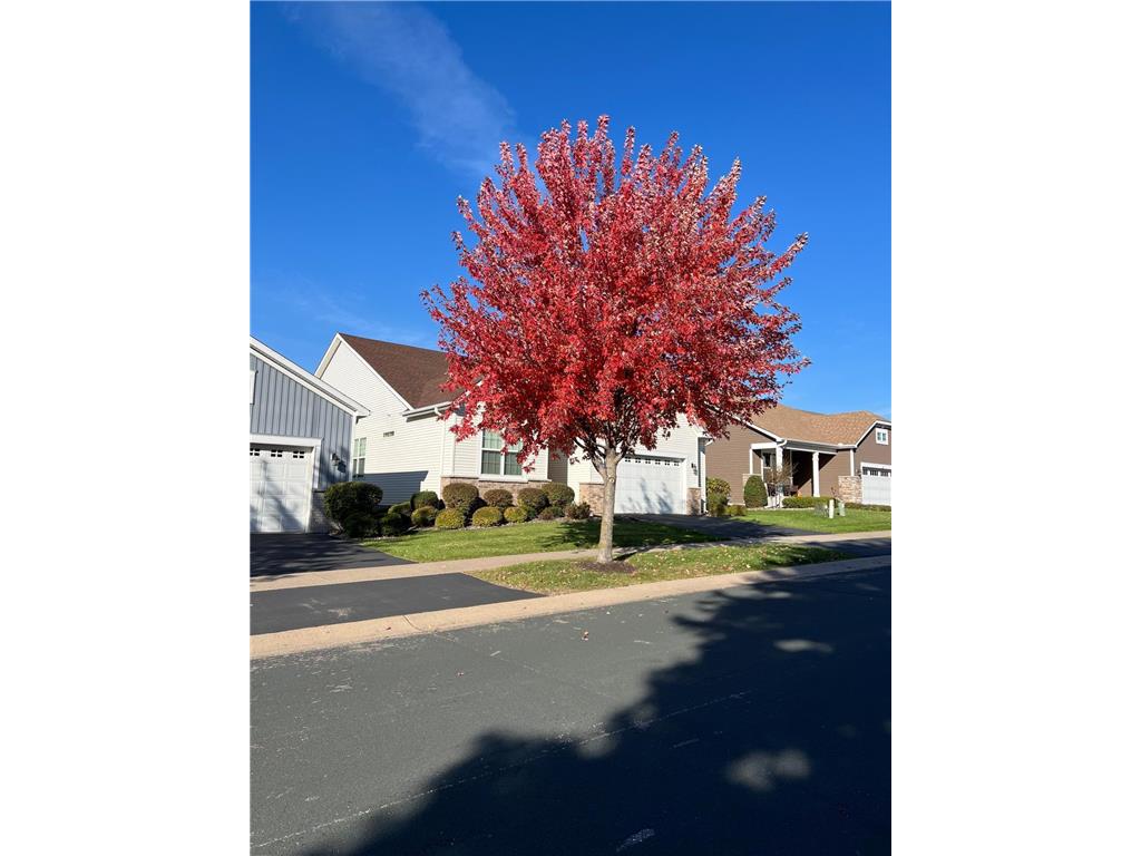 7425 Peony Lane N Maple Grove MN 55311 6808872 image3