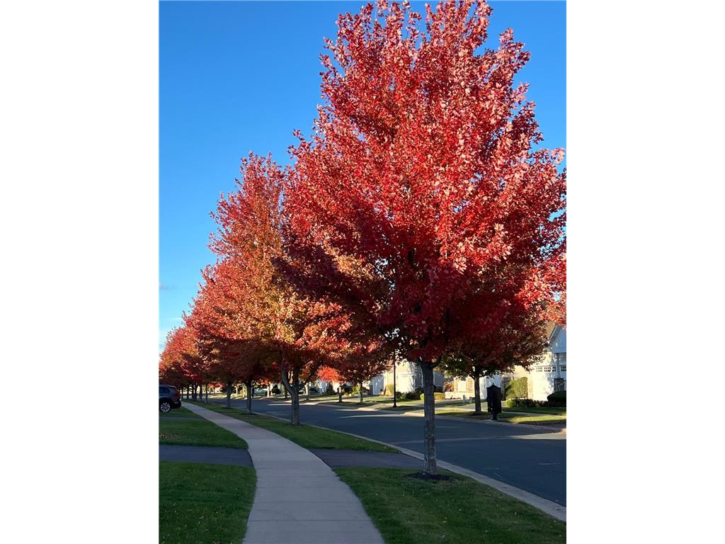 7425 Peony Lane N Maple Grove MN 55311 6808872 image7