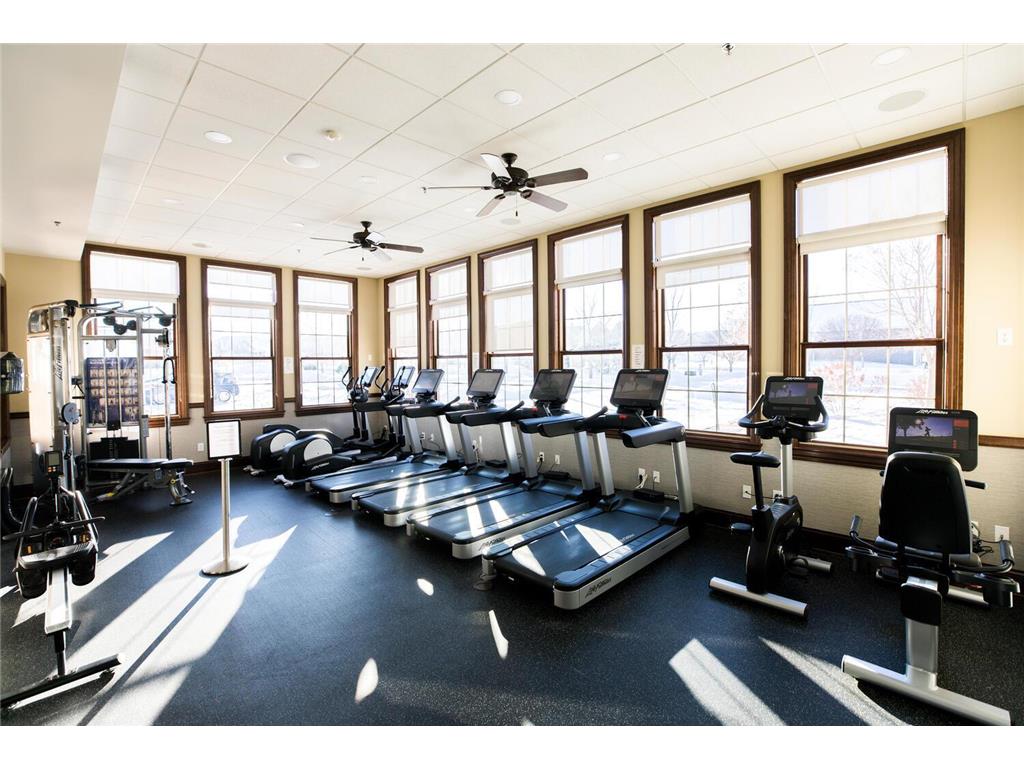 7425 Peony Lane N Maple Grove MN 55311 6808872 image70