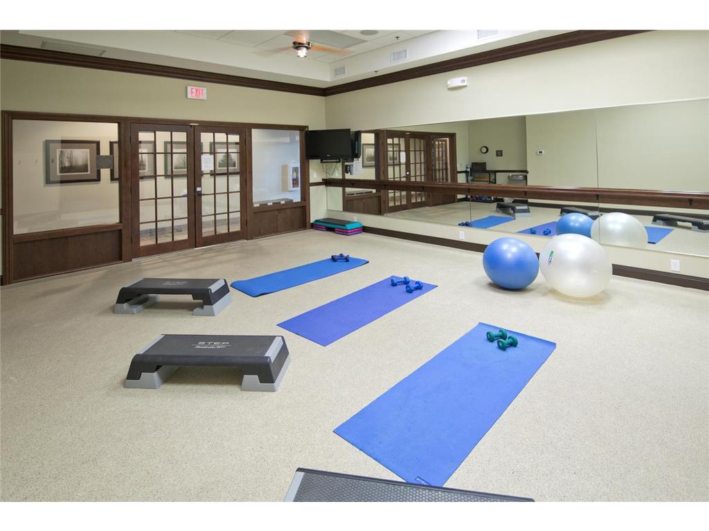 7425 Peony Lane N Maple Grove MN 55311 6808872 image73