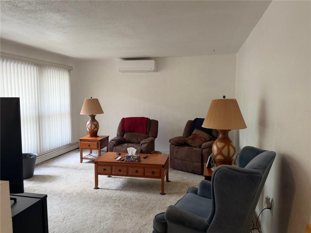 7428 Donnywood Circle E Britt MN 55710 7059255 image5