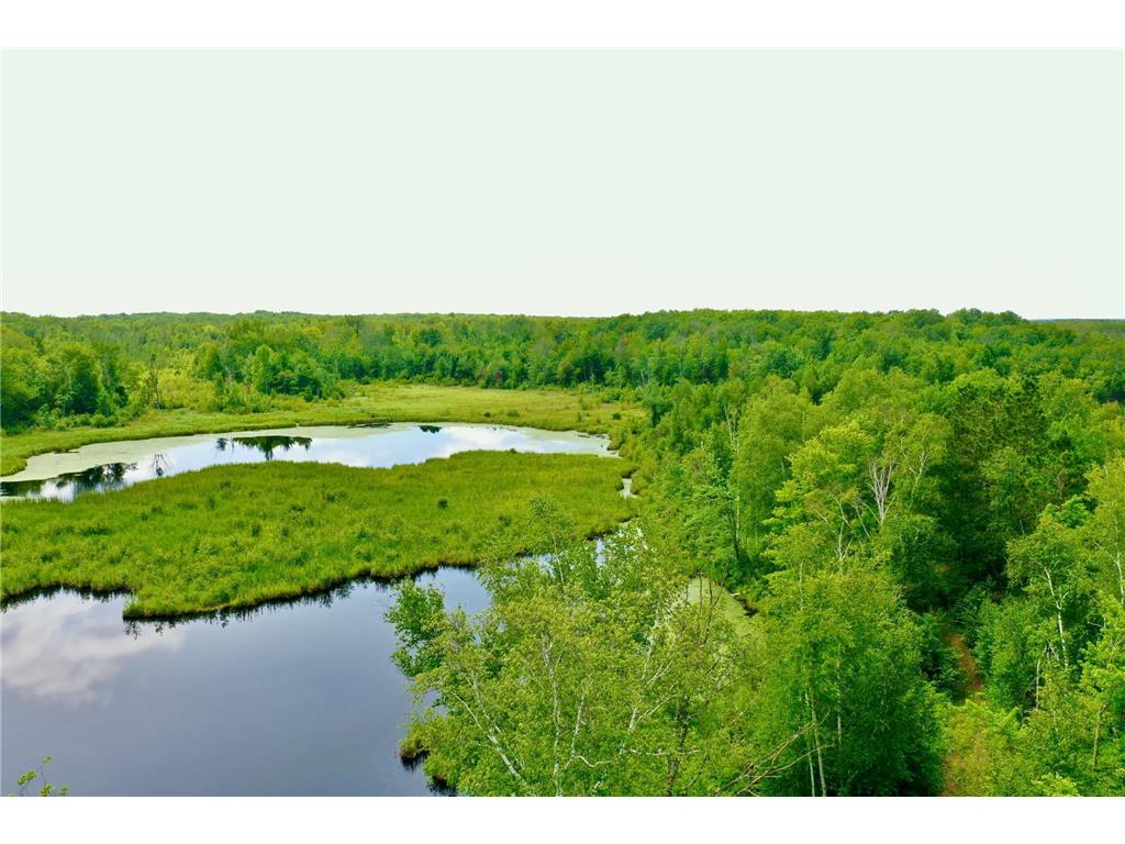 74302 Knotty Pine Road Park Twp MN 55712 6572666 image1