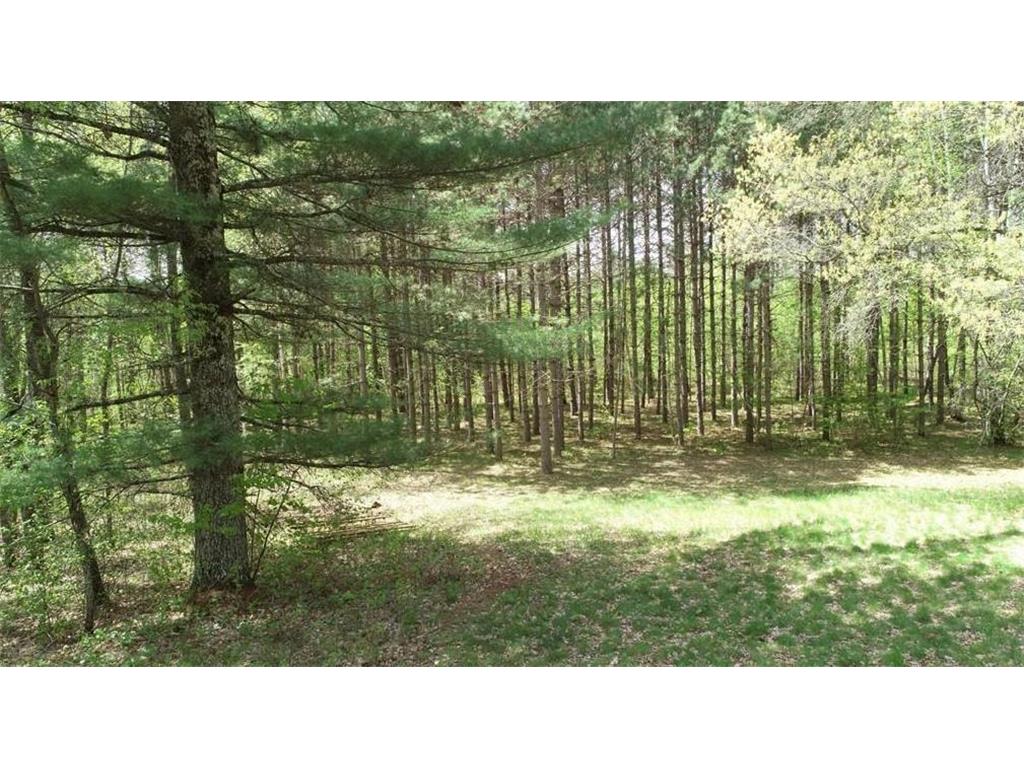 7431 Jordan Buck Trail Danbury WI 54830 6722404 image17