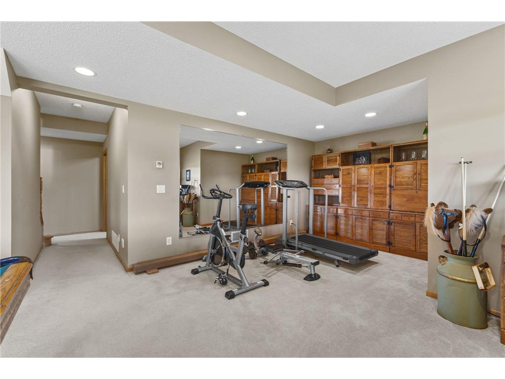 744 Theis Drive Louisville Twp MN 55379 7063336 image39
