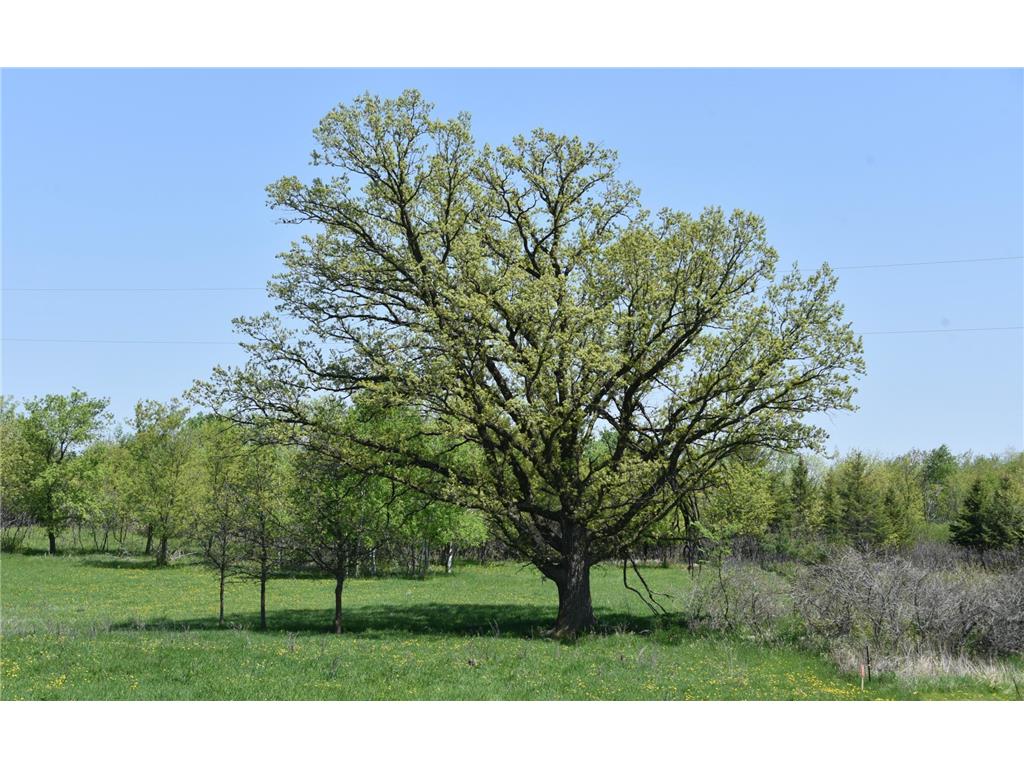 7441 Cedar Road Milaca MN 56353 6530569 image1