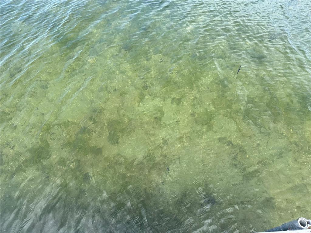 7443 Walleye Lane SW Alexandria MN 56308 - Mary Lake 6752960 image6