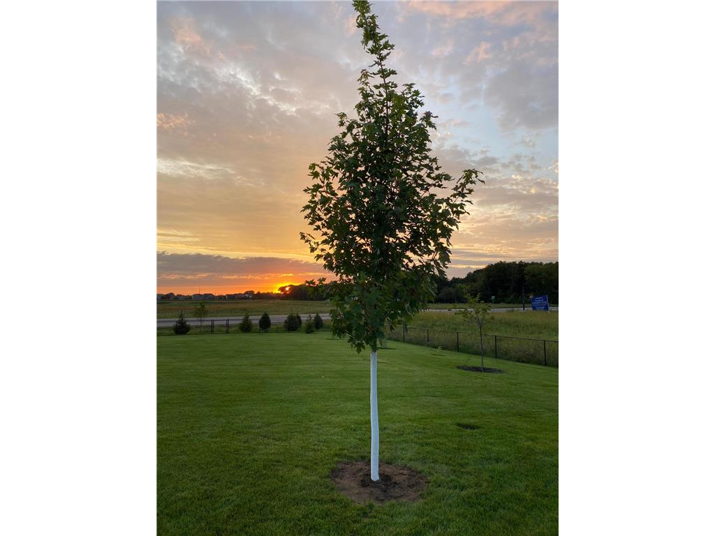 745 152nd Avenue NW Andover MN 55304 7048684 image3