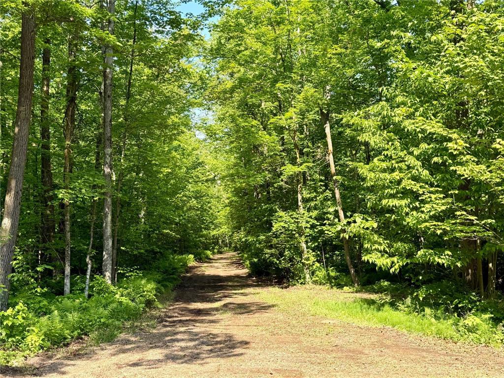 74564 Cane Creek Road Kettle River Twp MN 55704 6735128 image1