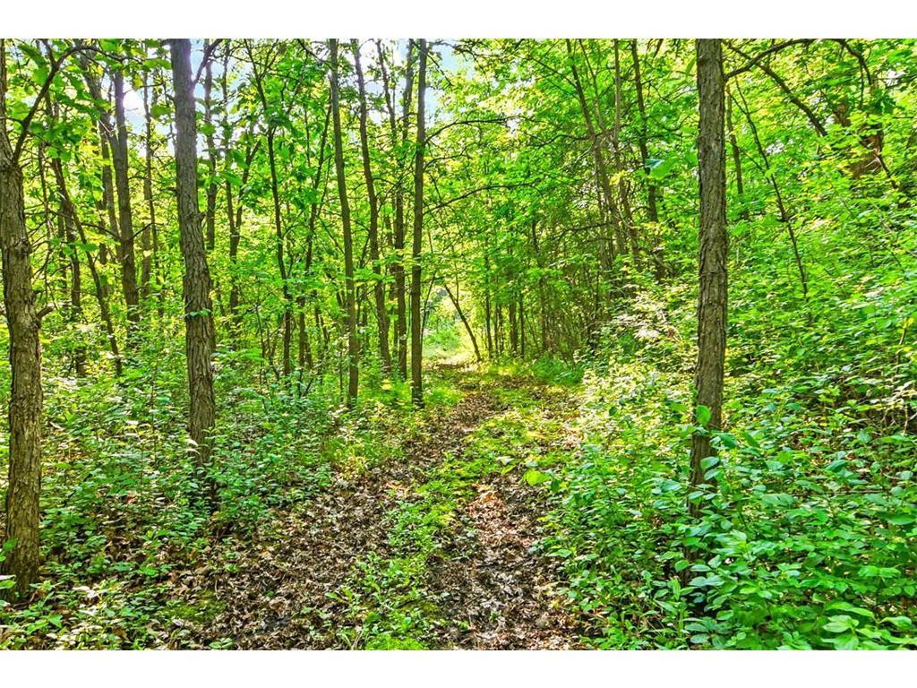 7458 39th Avenue NW Alexandria MN 56332 6734592 image64