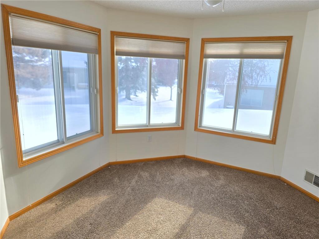 7462 Hinton Park Avenue S Cottage Grove MN 55016 7039233 image17