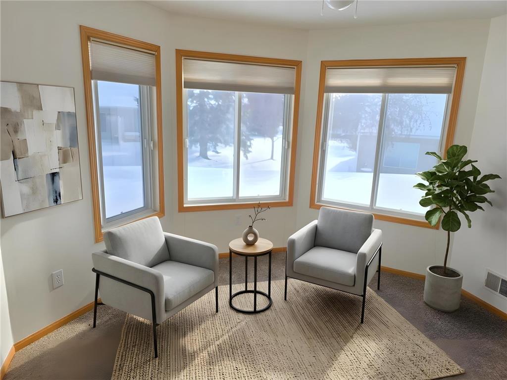 7462 Hinton Park Avenue S Cottage Grove MN 55016 7039233 image18