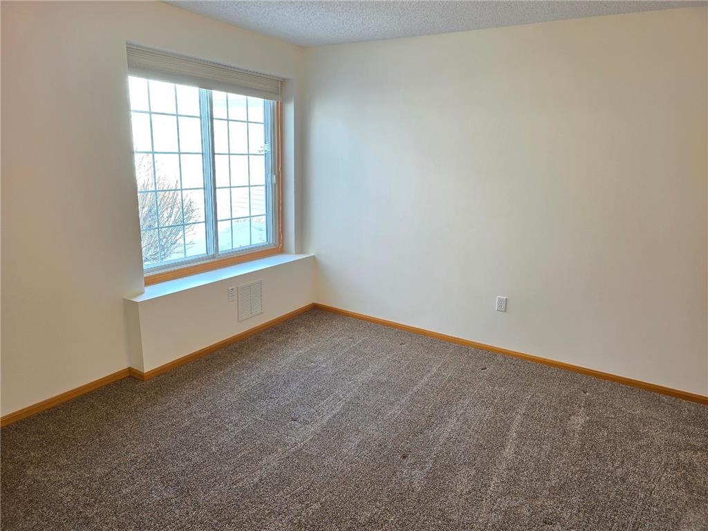 7462 Hinton Park Avenue S Cottage Grove MN 55016 7039233 image19