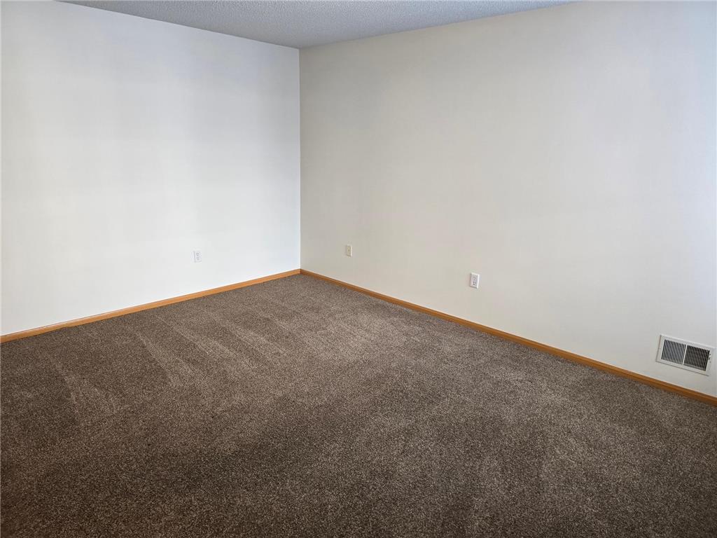 7462 Hinton Park Avenue S Cottage Grove MN 55016 7039233 image21